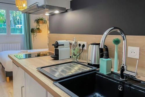 un comptoir de cuisine avec un évier et un évier dans l'établissement Acapulco romantique, à Annecy