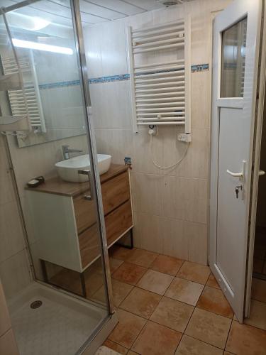 une petite salle de bain avec un lavabo et une douche dans l'établissement Le Moulin Neuf, à Beaupréau