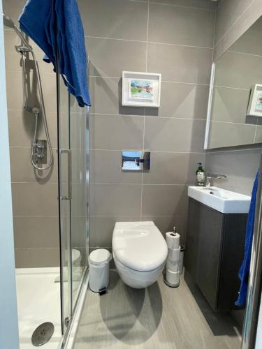 a bathroom with a toilet and a shower and a sink at Artist's home with views over Bath in Bath