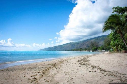 a beach with a palm tree and the ocean at Heitiare lodge in Paea
