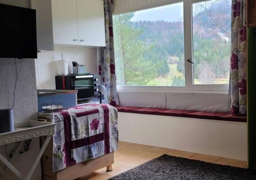 une cuisine avec une fenêtre, un four micro-ondes et une cuisinière dans l'établissement Studio agréable et lumineux, à Villard-de-Lans