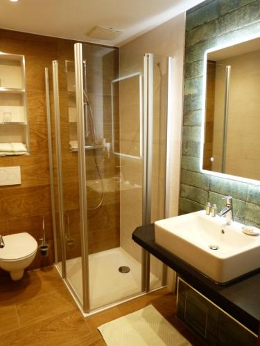a bathroom with a shower and a sink and a toilet at Hotel und Gasthof Dreibeiniger Hund in Görlitz