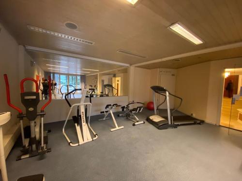 un gimnasio con varias cintas de correr y máquinas elípticas en Apartment Bella Vista Lugano, en Bissone
