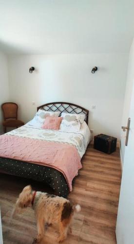 a dog standing next to a bed in a bedroom at Au cœur de la Nature in Coursan