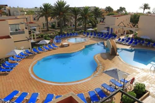 - une vue sur la piscine d'un complexe avec des chaises bleues dans l'établissement Corralejo Suite Pool & Gardens - Alisios Playa, à Corralejo