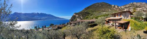 a house on a hill next to a body of water at Appartamenti Helios in Limone sul Garda