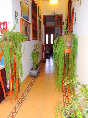 a hallway with lots of plants in a building at Lima Wari Hotel Boutique in Lima