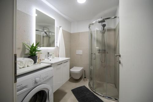 e bagno con doccia, servizi igienici e lavandino. di Apartment in Škofja Loka a Škofja Loka