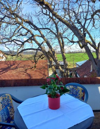 a table with a potted plant on top of it at Landgasthof zum SEEHOF in Rottweil