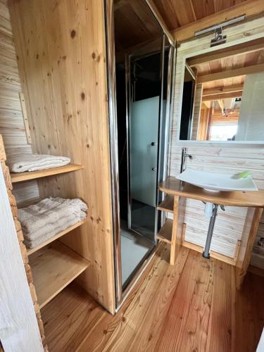 un baño en una casa pequeña con lavabo en Tiny House des couriols, en Montmeyran