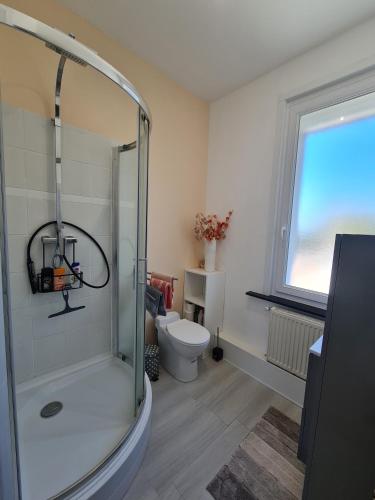 a bathroom with a shower and a toilet at Scarpe House - Garage - Jardin - Wifi - Douai in Douai