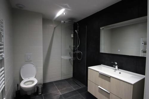 La salle de bains est pourvue de toilettes, d'un lavabo et d'un miroir. dans l'établissement L'Aurore, à Gérardmer