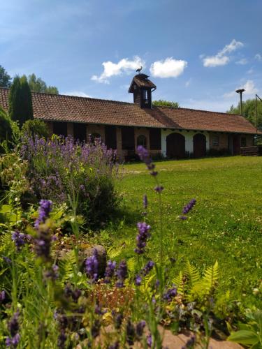 un jardín con flores púrpuras frente a un edificio en Terra Natangia, en Górowo Iławeckie