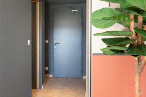a hallway with a blue door and a plant at Hôtel La Perna in Pernes-les-Fontaines