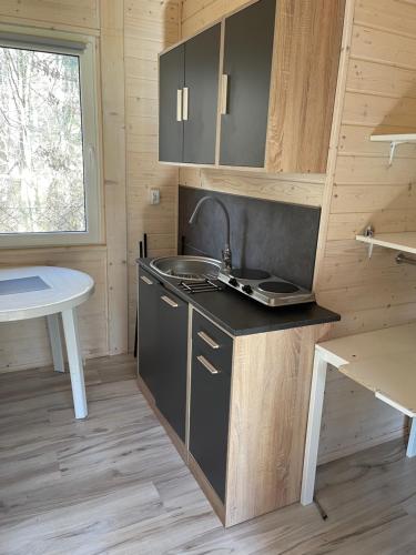 a kitchen in a tiny house with a sink at Domki i Pole Namiotowe Pod Sosnami in Olsztyn