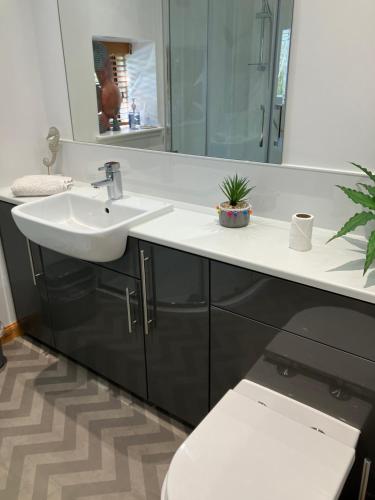 a bathroom with a sink and a toilet and a mirror at Orchard Cottage in Montrose