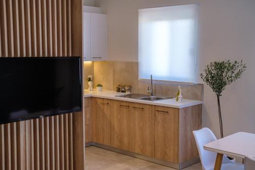 a kitchen with a sink and a tv on a wall at Olivo Home in Zipárion