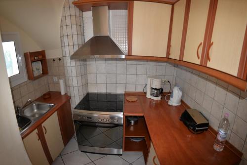 Kuchyň nebo kuchyňský kout v ubytování Villa Alex