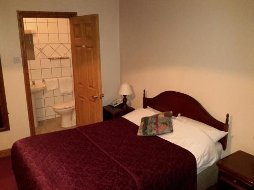 a bedroom with a bed and a bathroom with a toilet at Bridge Hotel in Arklow