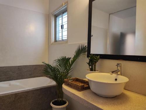 a bathroom with a sink and a bath tub and a plant at Villa Papillon in Phnom Penh