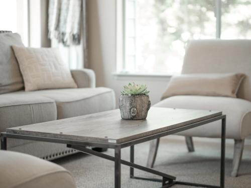 a living room with a coffee table with a plant on it at Home oasis with sauna, jacuzzi, pool & heated gazebo! in Clovis