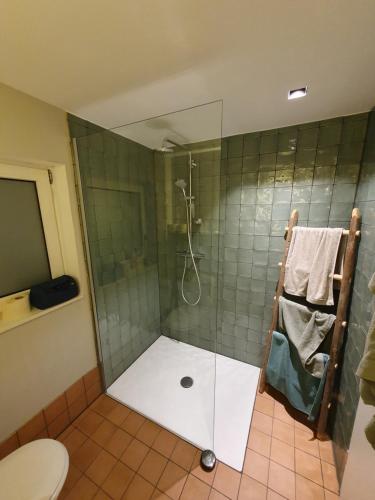 a bathroom with a shower with a glass door at Gartenhaus Schlanstedt in Schlanstedt