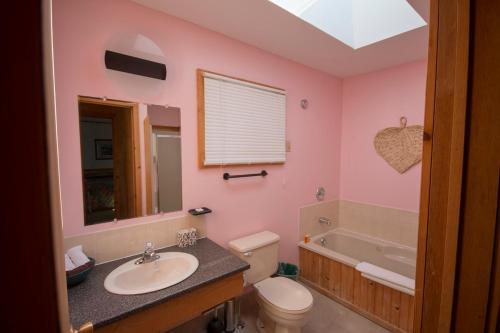 a bathroom with a sink and a toilet and a tub at Sundance Cottages in Cavendish