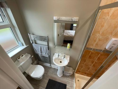 een kleine badkamer met een toilet en een wastafel bij Ballylee in Galway