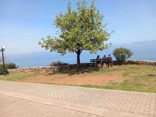 three people sitting on a bench under a tree at Cottage house with incredible view in Trápeza