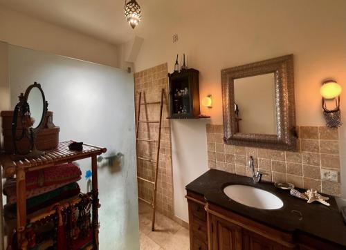 ein Bad mit einem Waschbecken und einem Spiegel in der Unterkunft Maison de charme à Montreuil, à 10mn de Paris in Montreuil