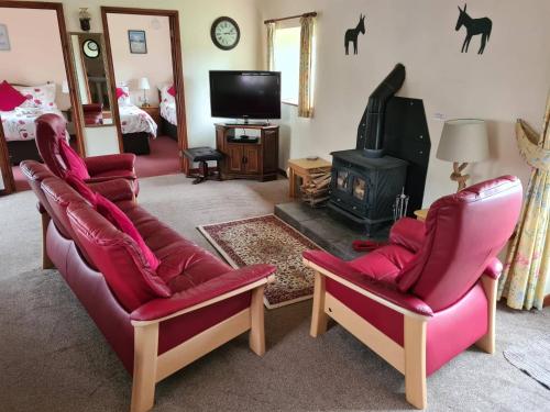 a living room with two red chairs and a fireplace at Ddol Cottage Traditional Coastal cottage nr Llangrannog & New Quay with Donkeys in Llandysul