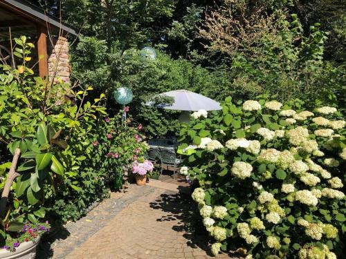 RommerskirchenにあるCharmante Ferienwohnungen auf Reitstall Wasserburg Anstel - ein Ort zum Wohlfühlen und Entspannenの白い花と傘を置いた庭園
