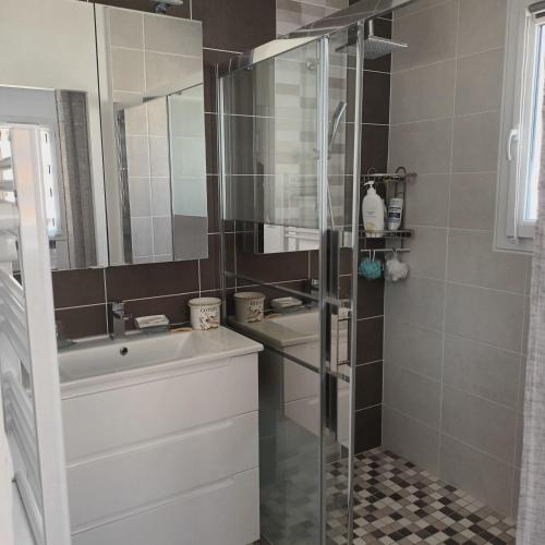 une salle de bain avec une douche, un lavabo et un miroir dans l'établissement Paisible P2 pour 4 voyageurs, à Saint-Gilles