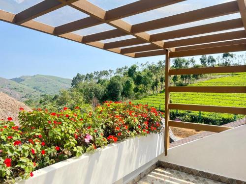 a garden with red flowers on a white wall at The Heyday in Vagamon
