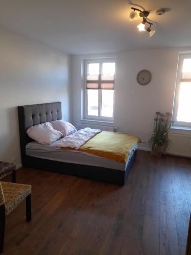 1 dormitorio con 1 cama y 2 ventanas en Pokoje Gościnne FABIO en Chojnice