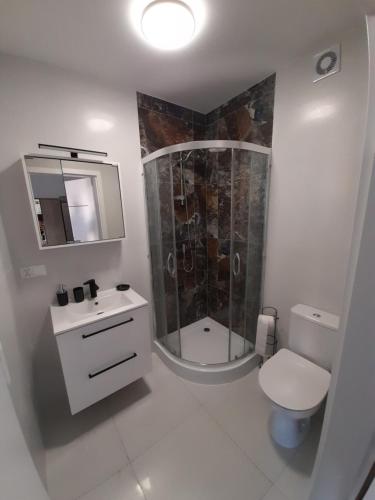 een badkamer met een douche, een toilet en een wastafel bij Pokoje Gościnne FABIO in Chojnice