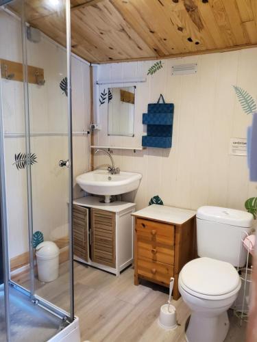 La salle de bains est pourvue de toilettes et d'un lavabo. dans l'établissement L'escale en Dordogne, à Saint-Antoine-de-Breuilh