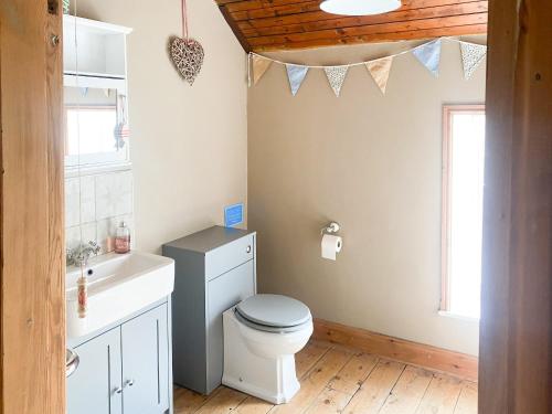 a bathroom with a toilet and a sink at Beckside Cottage in Fryup