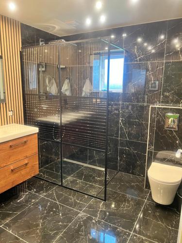 a bathroom with a shower and a toilet and a sink at Større luksus Hus ved Assens in Assens