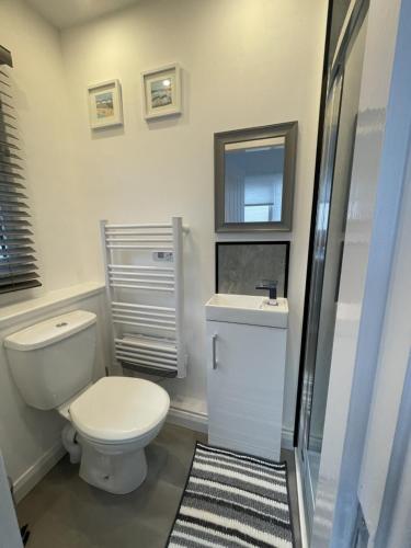 a white bathroom with a toilet and a sink at Isla's Haven Holiday Chalet in Bridlington