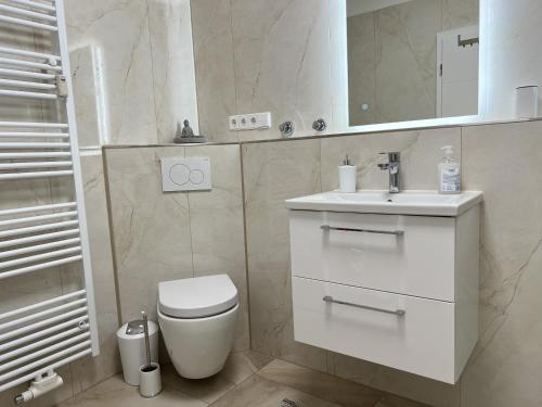 y baño con aseo, lavabo y espejo. en Luxus City Apartment, en Baden-Baden