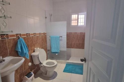 a bathroom with a toilet and a sink and a shower at Tropical Inn Spacious 1 bed Apartment stunning rooftop terrace in San Felipe de Puerto Plata