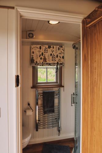 トゥルーロにあるLuxury Shepherd's Hut on Meadow with Outdoor Bath in Mid Cornwallのバスルーム(トイレ付)、窓(タオル付)