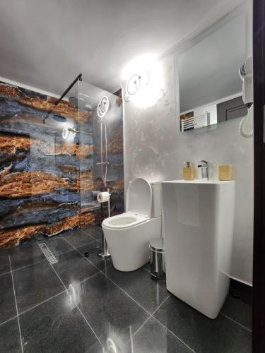 a bathroom with a toilet and a shower and a sink at Vila Karina in Teşila