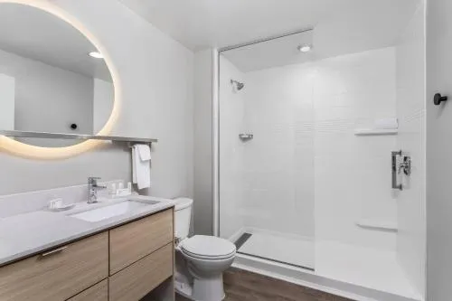 TownePlace Suites by Marriott Orlando Near Universal photo 7