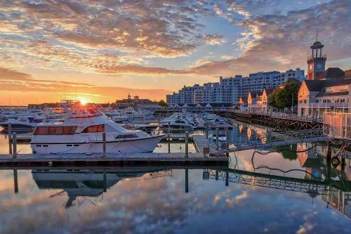 un grupo de barcos atracados en un puerto deportivo al atardecer en Cozy Short & Suite 4-Bedroom Stay- Minutes to City, en Quincy