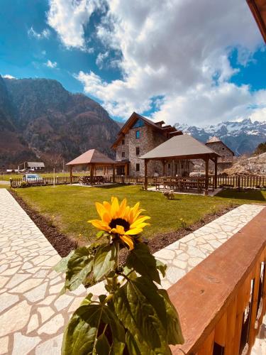 a sunflower sitting on a wooden bench in front of a building at Guesthouse Prrockaj Theth in Theth