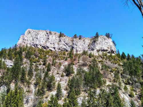 a rocky mountain with trees on top of it at Konaci Gradina in Bajina Bašta