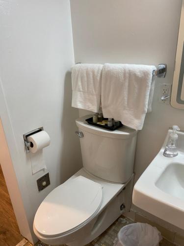 een badkamer met een toilet, een wastafel en handdoeken bij Modernized Studio Apartment in Gadsden, AL in Gadsden