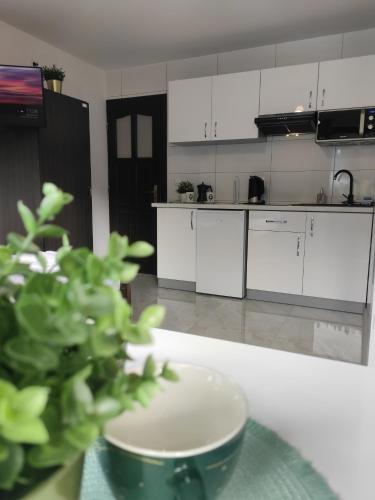 a kitchen with white cabinets and a green plant on a table at Pokoje i apartamenty u Sabiny - DOSTĘP DO JACUZZI TYLKO W WYBRANYCH OPCJACH sprawdź poniżej szczegóły rezerwacji in Szczawnica
